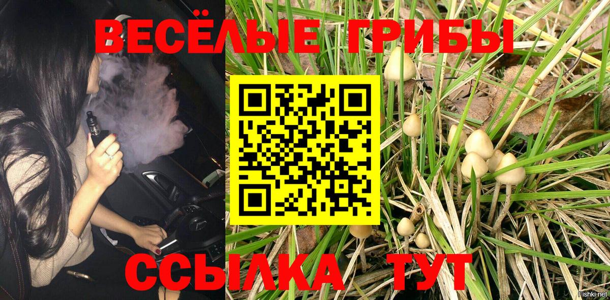 где найти   Вход с VPN  Воскресенск  Галлюциногенные грибы прущие грибы 